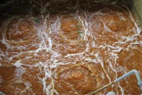 1345800721 1300978627 180607708 1 XU LY NUOC THAI XI MA Thanh pho Ho Chi Minh Thanh pho Ho Chi Minh2