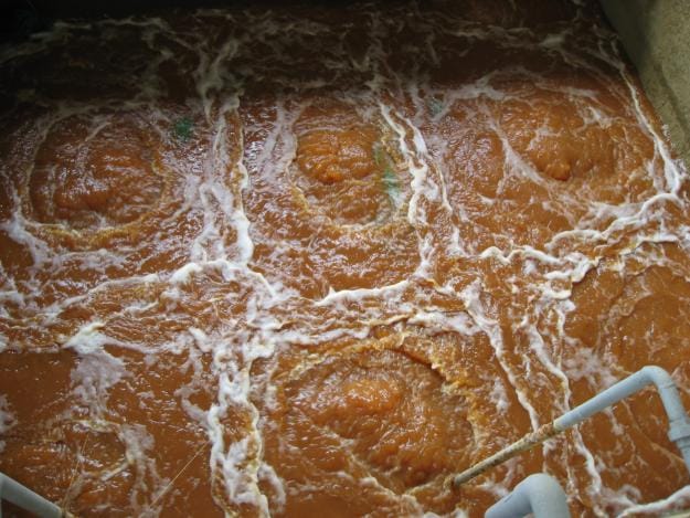 1345800721 1300978627 180607708 1 XU LY NUOC THAI XI MA Thanh pho Ho Chi Minh Thanh pho Ho Chi Minh2