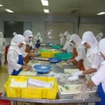 công ty môi trường làm báo cáo giám sát môi trường tại Hòa Bình