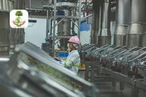 Xử lý nước thải chế biến thực phẩm