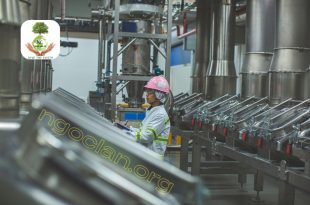 Xử lý nước thải chế biến thực phẩm