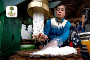 Xử lý nước thải sản xuất bún