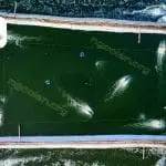 Xử lý nước thải ao nuôi cá