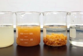 hoa chat hoat hoa vsv