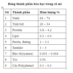 so do xu ly nuoc thai bot mi