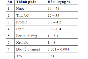 so do xu ly nuoc thai bot mi