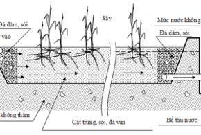 so do xu ly nuoc thai gia suc1