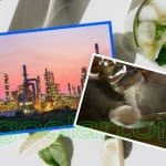 Xử lý nước thải nhà máy sản xuất bột ngọt